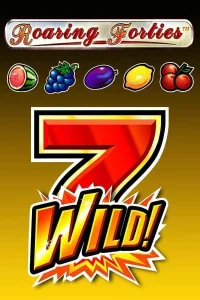 wyns-roaringforties111zon